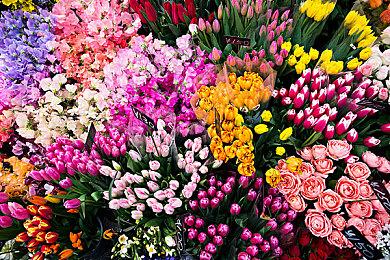 Epic游戏库改版：三年努力 游戏图标终于变成彩色